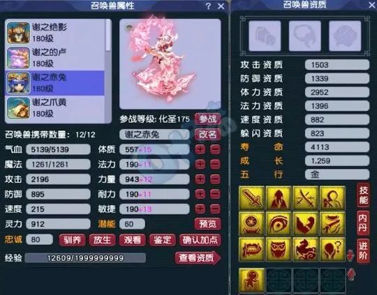 梦幻西游王谢究极体神木林带12只个性神马宠，打服战能拿第几名？