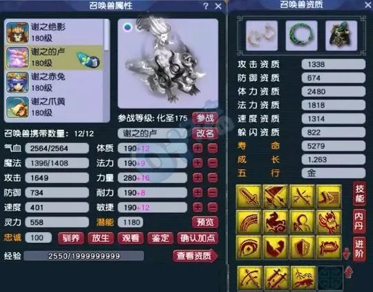 梦幻西游王谢究极体神木林带12只个性神马宠，打服战能拿第几名？