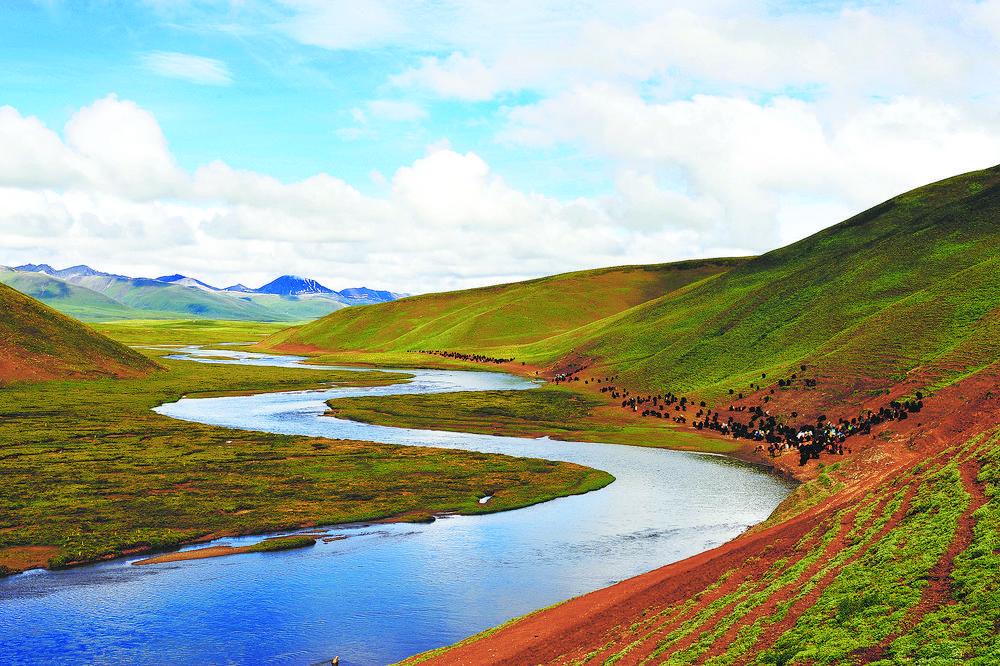 在青藏高原的腹地,青海省果洛藏族自治州达日县,山脉相连,江河纵横,是