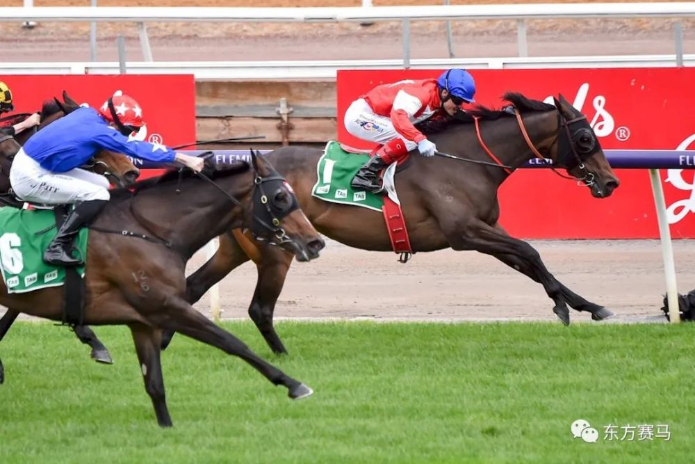 2022|全球纯血马一级赛周报(10.24-10.30)_腾讯新闻