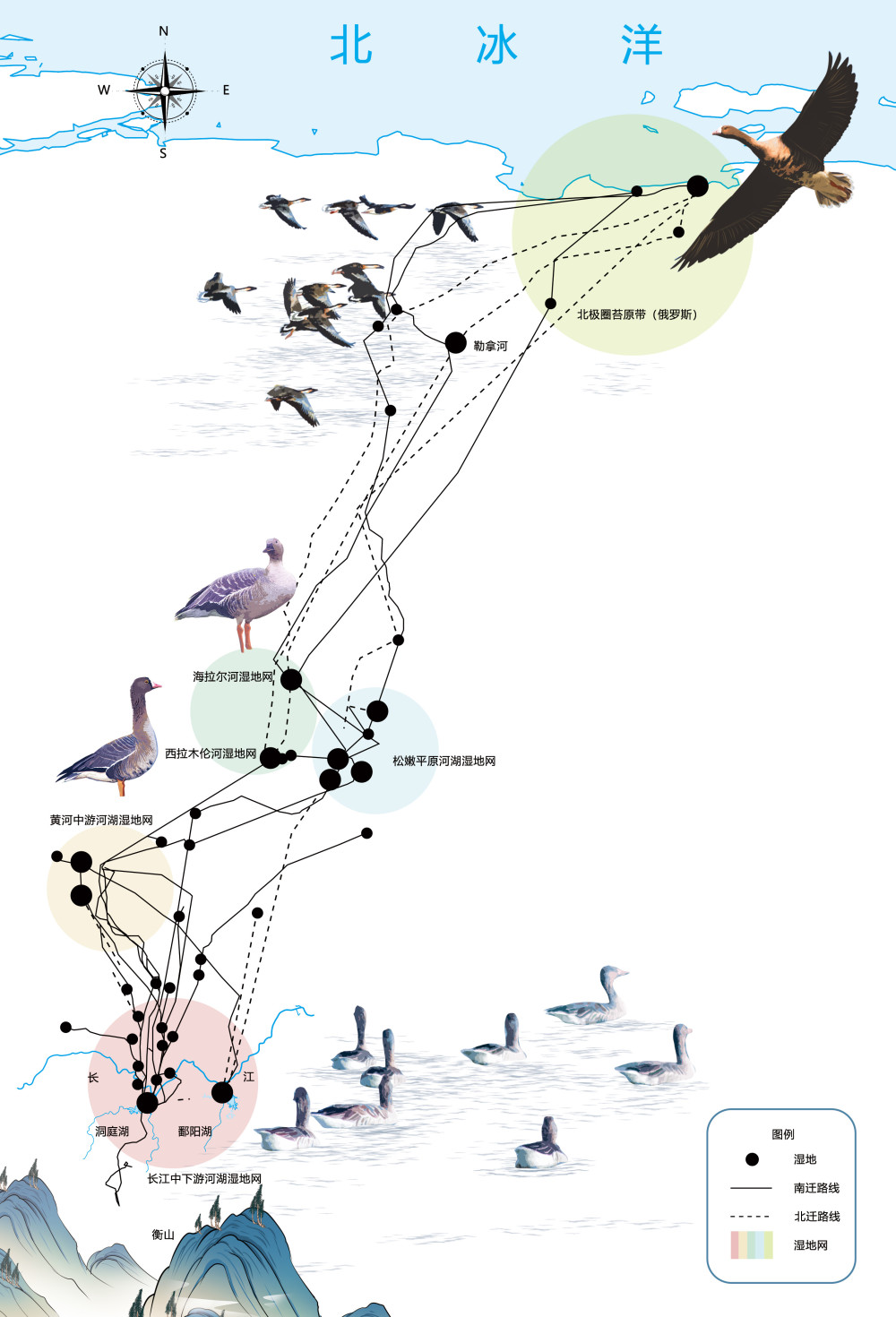 燕子迁徙路线图图片