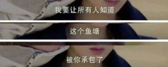 安吉丽娜·朱莉怒告皮特：你们对孩子做的无可挑剔摸珠子数学题