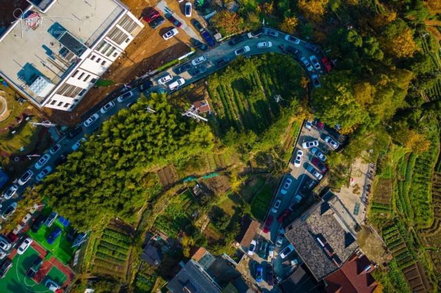 浙江的最美秋色就在安吉九亩村,海拔800多米,紧挨着森林公园_腾讯新闻