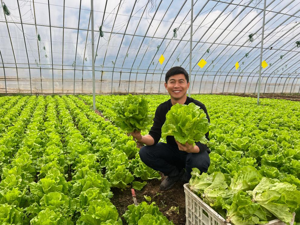 "z世代,郑出彩"|返乡青年:以奋斗致青春,他们在创业中放飞梦想