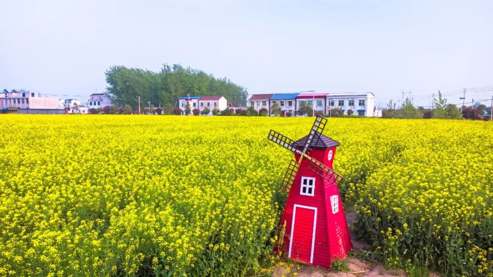 安徽人游安徽知音乡村埇桥关湖村