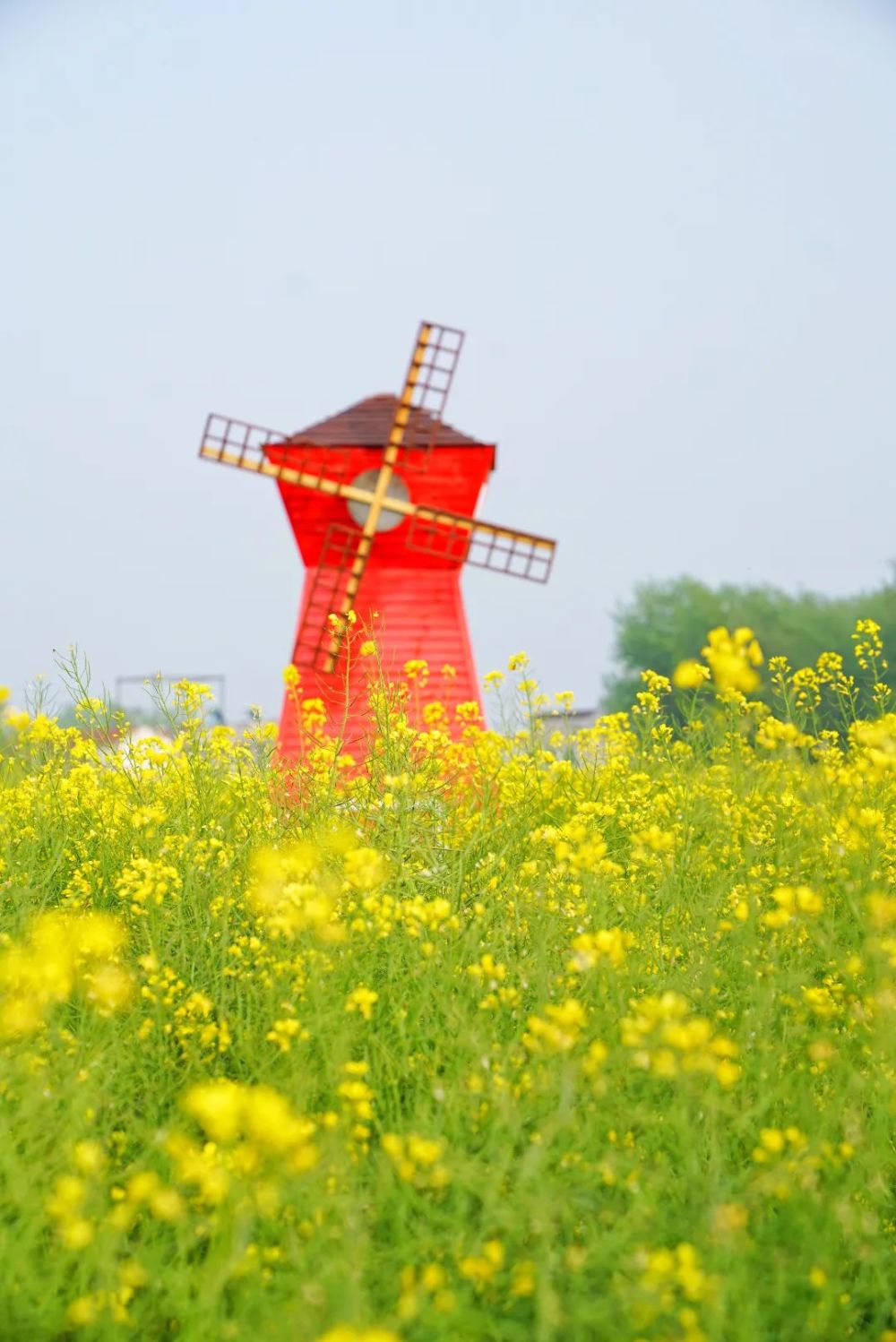 安徽人游安徽知音乡村埇桥关湖村