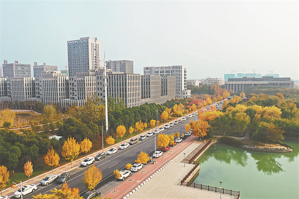 焦作市城乡一体化示范区路染金秋