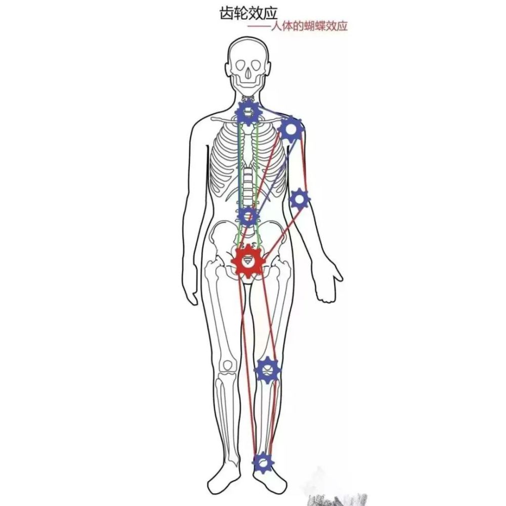37岁黄正音产后复出！产后恢复状态不错，骨盆是体态问题的元凶六级句型