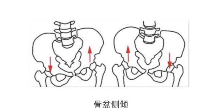 EOS邂逅宠物小情人＃欢迎参与＃宠爱有佳＃摄影招募活动怎样做黄焖鸡米饭好吃