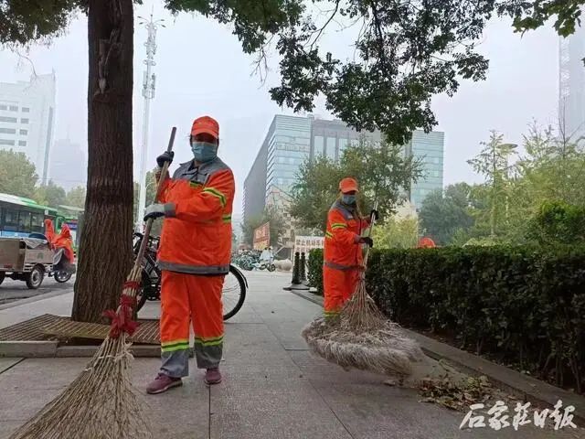 为你们点赞！石家庄环卫工人及时清扫落叶保障城市干净整洁