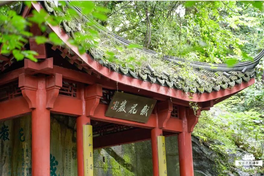 11月6日|一段南宋御街,一部南宋史……跟着杭州日