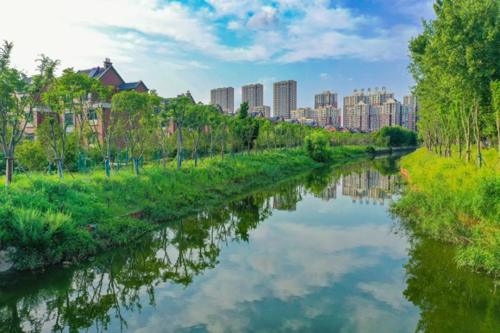 泰州靖江十年清畅近4000条河道打造幸福河湖水环境