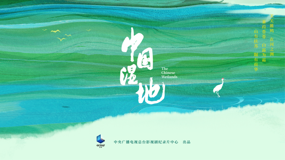 大片来了邀您共赴一场湿地之约