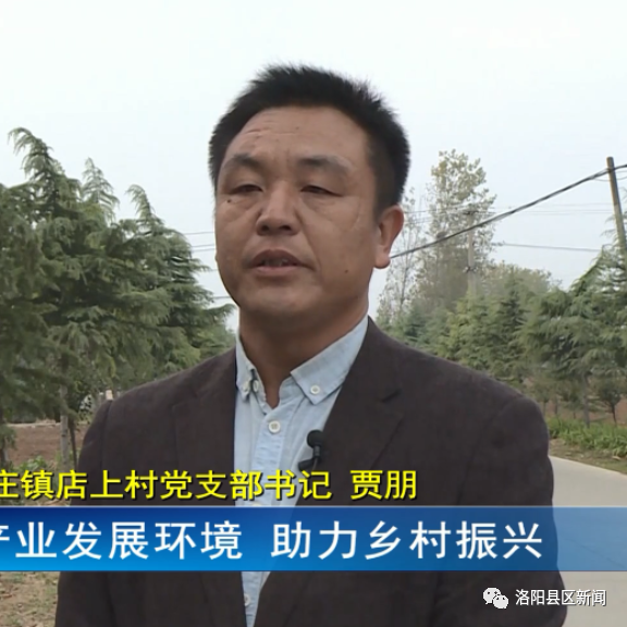 嵩县闫庄镇:持续推进养牛产业 助力乡村全面振兴