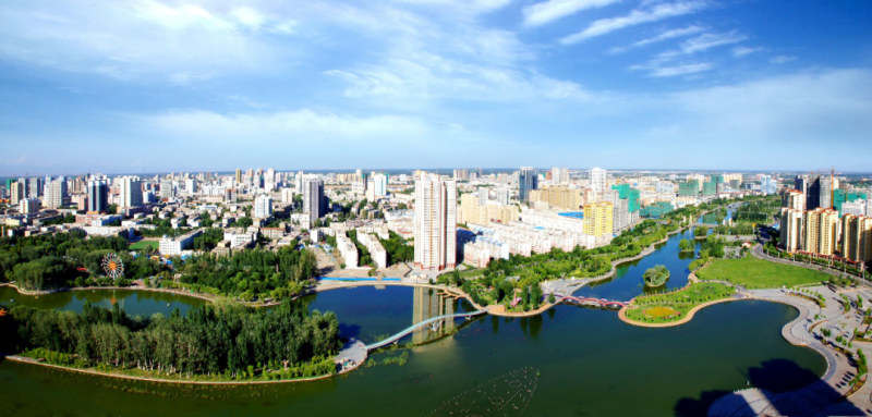 踔厉奋发推动经济高质量发展阿克苏地区党员干部学习党的二十大精神