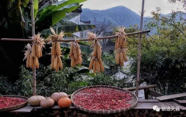 农历中国｜十月初十·古代丰收节_腾讯新闻