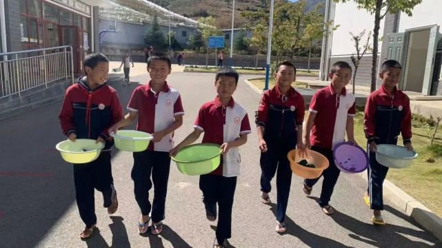 【我们的新时代】大营镇萂村完小:让劳动之美浸润学生心田_腾讯新闻