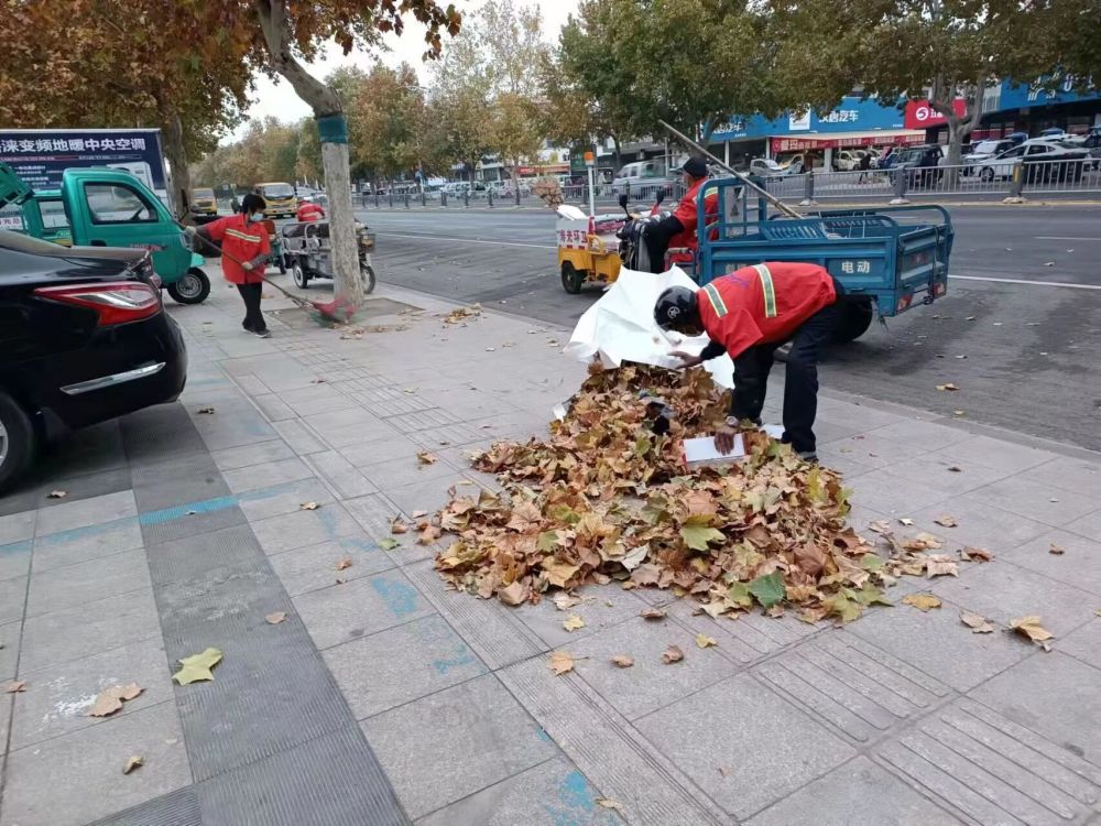 寿光环卫集团：大风突袭 提前上岗清落叶