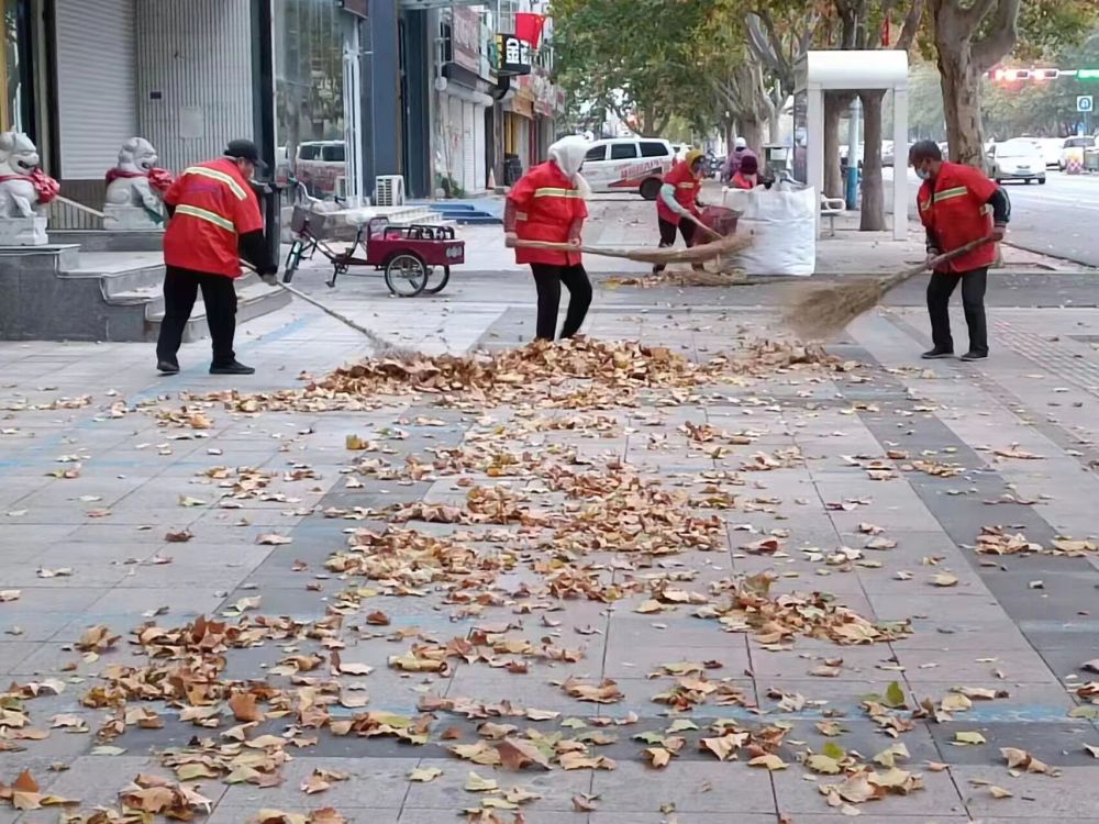 寿光环卫集团：大风突袭 提前上岗清落叶