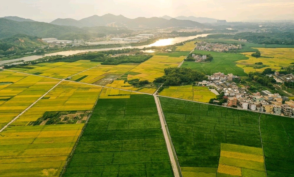 增幅全市第一!佛冈前三季度农林牧渔总产值27.5亿元,同比增长12.6%_腾