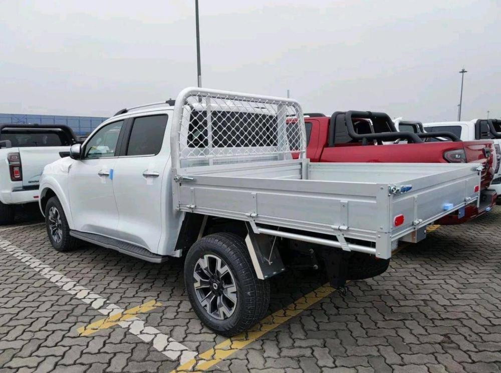 澳洲版"长城炮"皮卡排队装船,精致纯平货斗!应该在国内提供_腾讯新闻