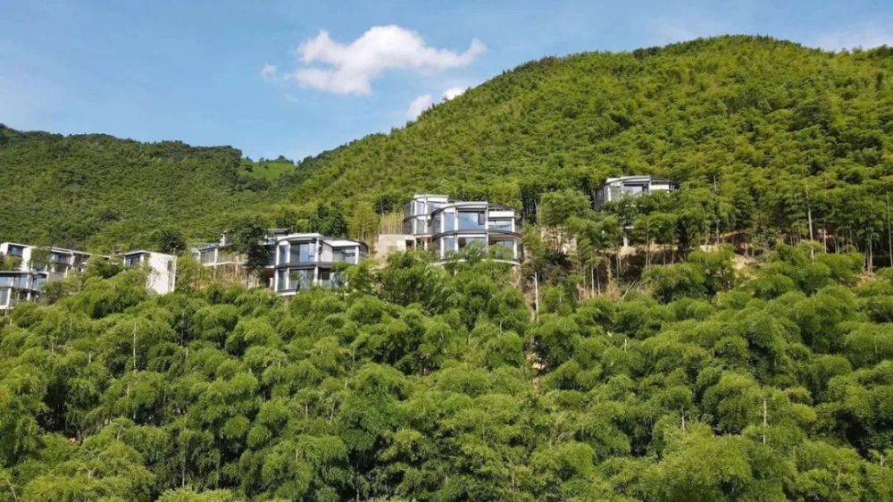 安吉"离城青山引"售楼处电话|售楼处地址-在售面积-价格!_腾讯新闻