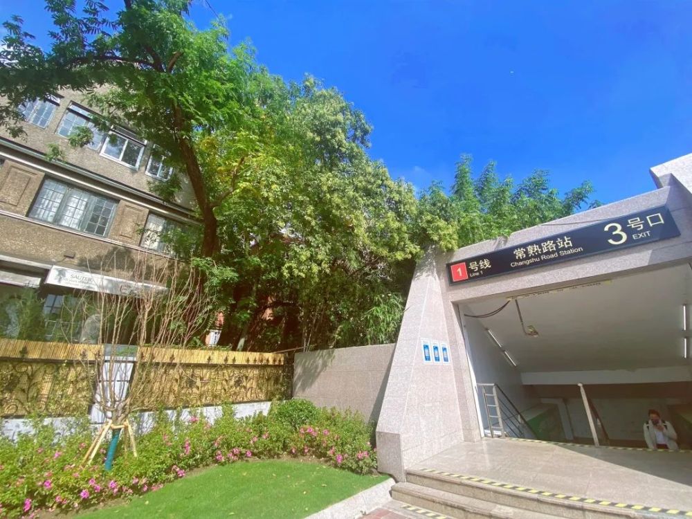 上海这些地铁站火了风景绝美一出站就能看到大海森林