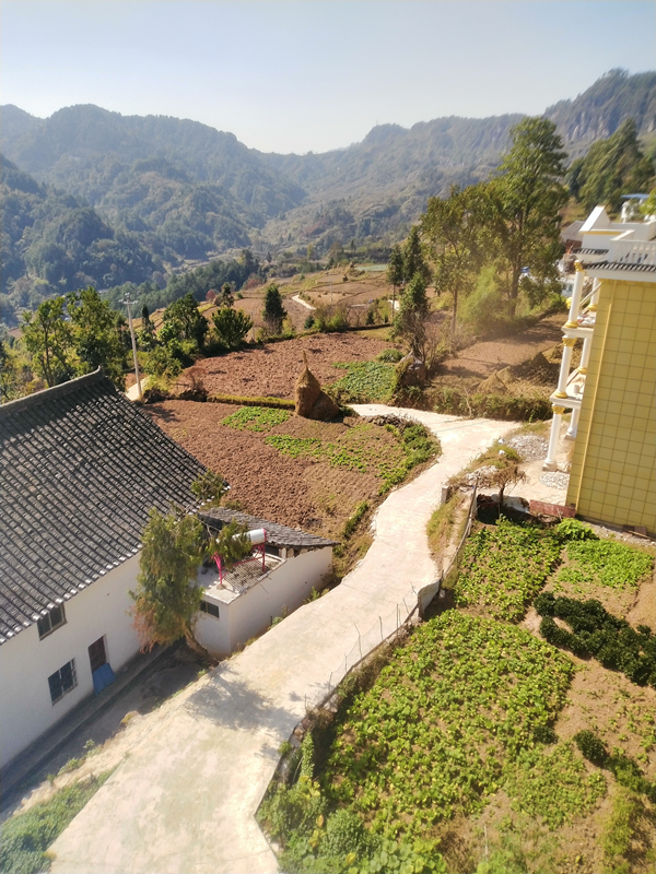 龙场镇黄腊村:抓好秋冬种 来年再丰收