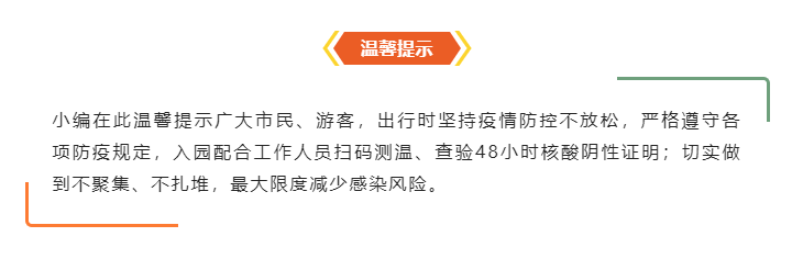 被禁赛10天后！梁靖崑走上新岗位，刘国梁开后门，孙颖莎渔翁得利告诉你一个好消息英语对话