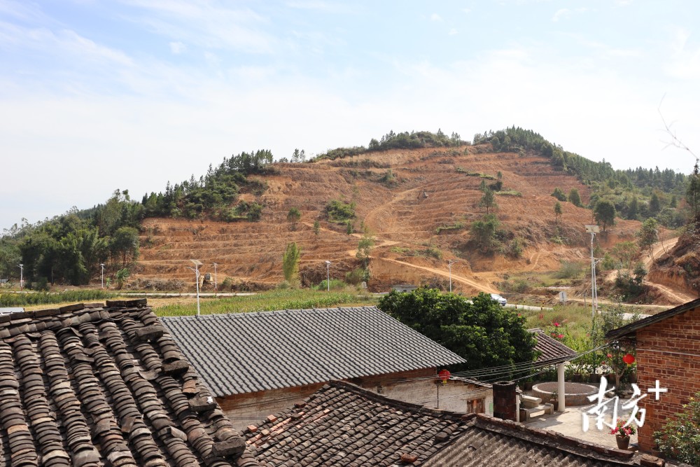 佛冈高岗镇:用心用情解决群众"急难愁盼",产业帮扶点亮致富路_腾讯