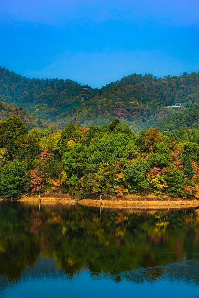 走,去敬亭山!_腾讯新闻