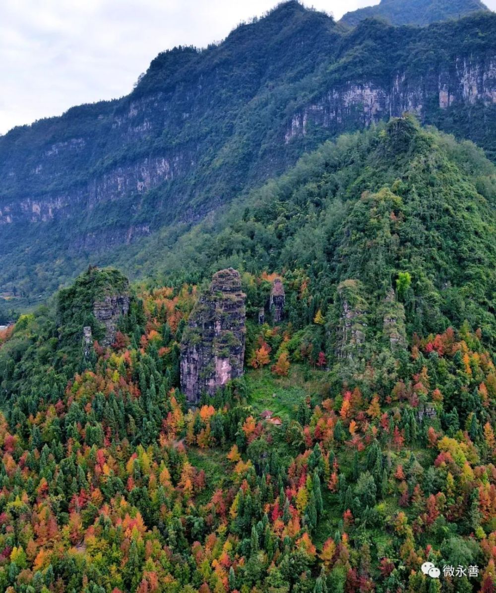 "生态 "铺就县城绿美底色永善:精准发力  持续优化营商环境永善:冷凉