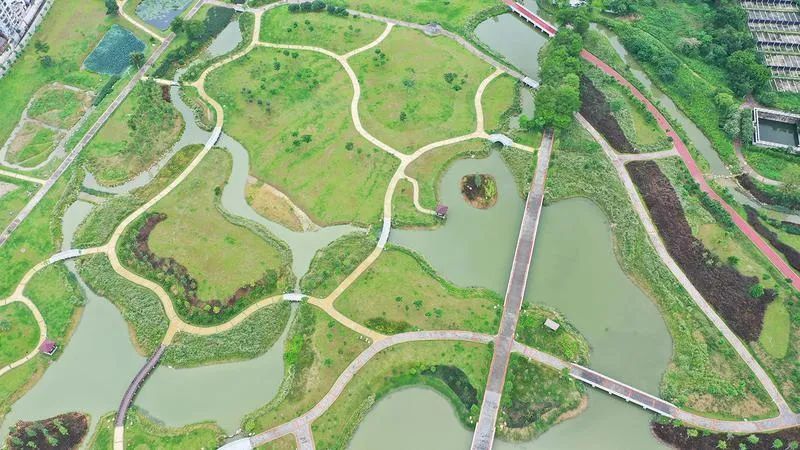 这里是宝安石岩环湖碧道_腾讯新闻