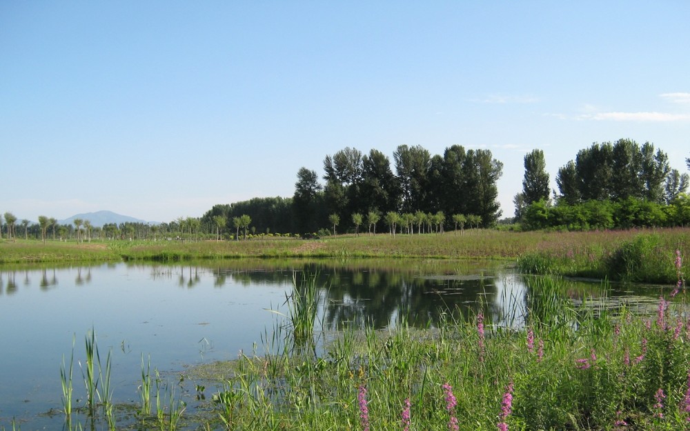 北京湿地面积已达6.21万公顷，湿地保护体系基本形成