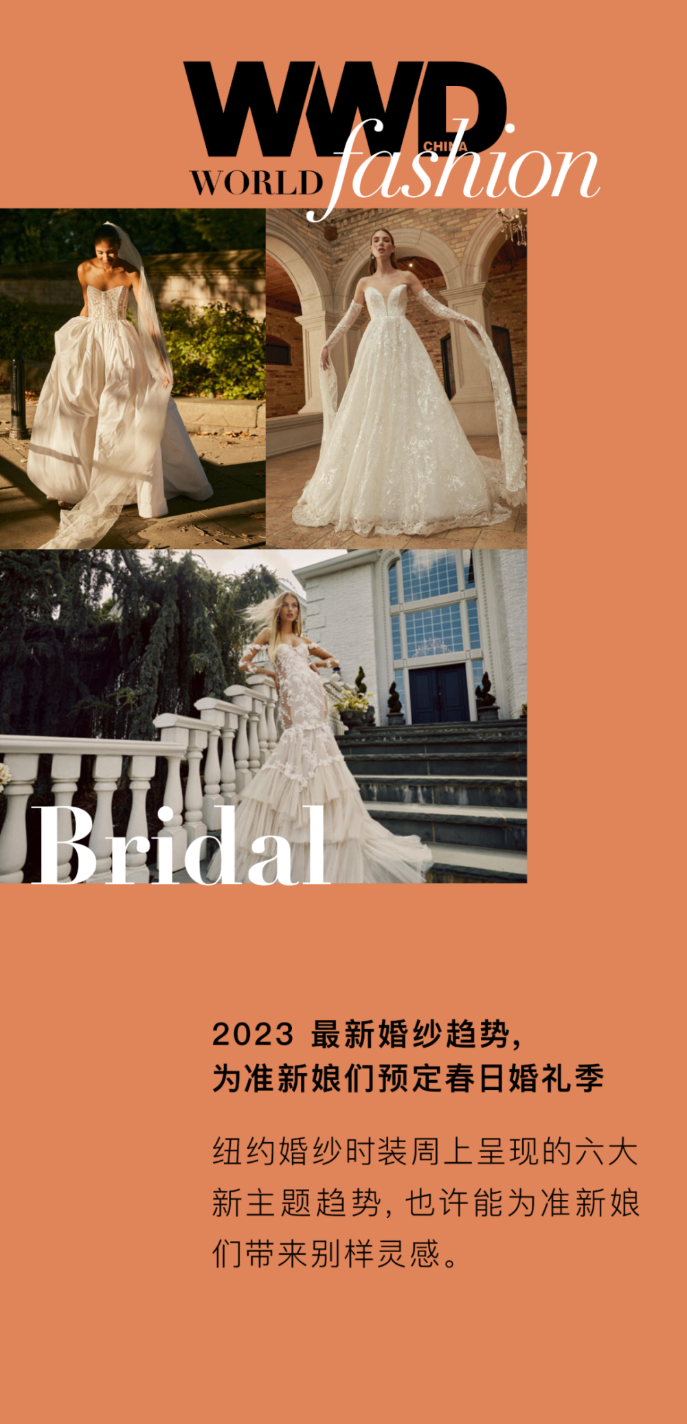 WWDWorld｜2023最新婚纱趋势，为准新娘们预定春日婚礼季初一地理上册目录
