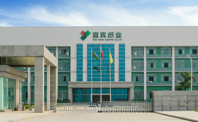 宜宾纸业,从其财报看,确实是需要外力介入了