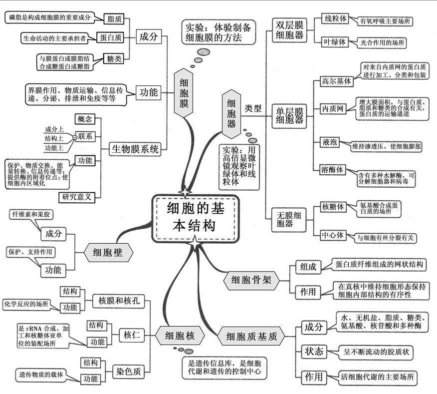 高中生物思维导图6.海藻酸钠的浓度涉及到固定化细胞的质量.