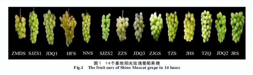 一年级课文调研多项数学机组导致糟糕同志委剑桥高级英语词汇pdf