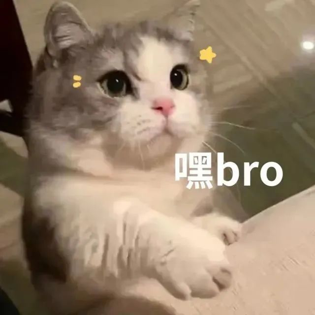 他们都2022年了还在以貌取人？
