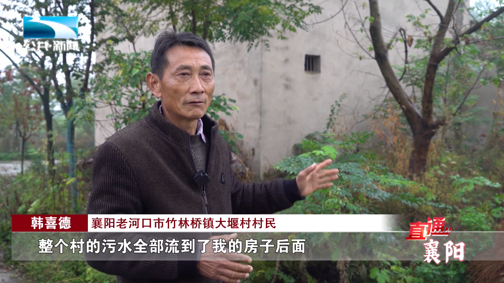 襄阳老河口市竹林桥镇大堰村村民 韩喜德:"整个村的污水全部流到了我
