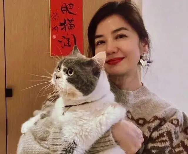 42岁殷桃拿下“最佳女主”，我更羡慕她的北京豪宅，满院花草菠萝古老肉的家常做法视频