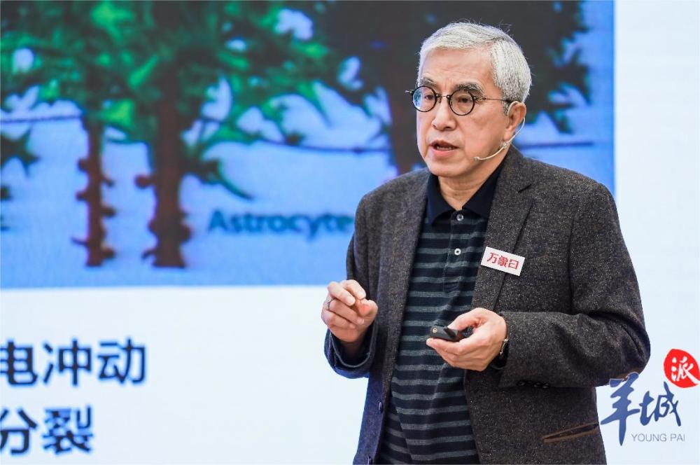 广州科创|院士苏国辉:破解视觉修复密码,发现枸杞能抗抑郁_腾讯新闻