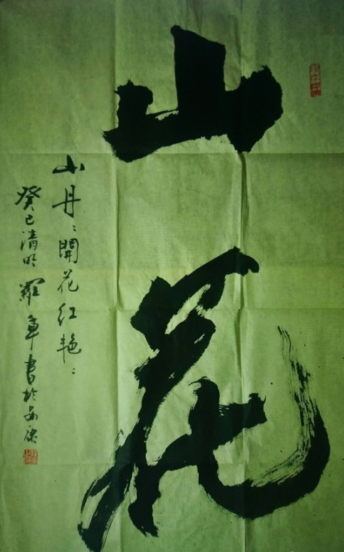 安康知名书法家罗军:艺术就是要为群众服务-腾讯新闻