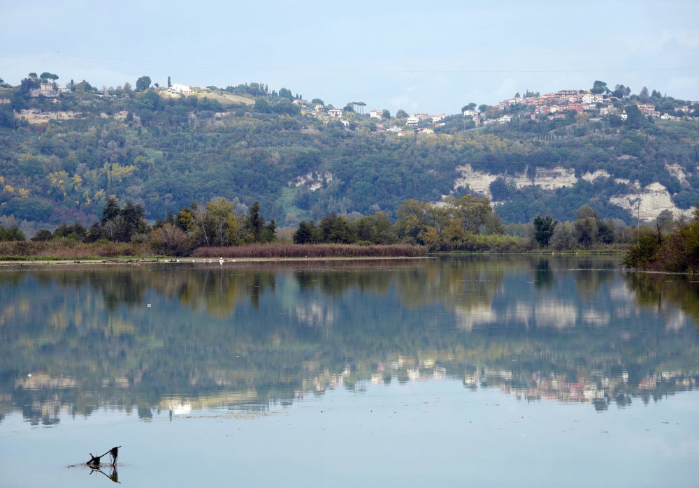 全球连线丨湿地之美·意大利纳扎诺泰韦雷-法尔法自然保护区_腾讯新闻