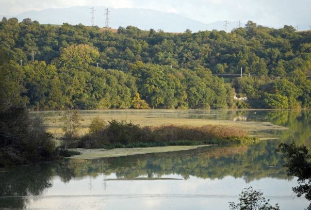 全球连线丨湿地之美·意大利纳扎诺泰韦雷-法尔法自然保护区