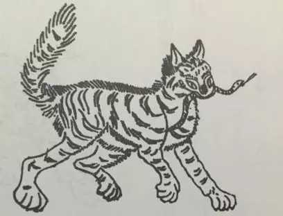 细看天狗如何吞月