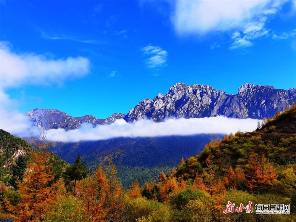 林海曲徑到藏寨雲端山峰聳奇秀舟曲賽爾布的風景實在太漂亮了