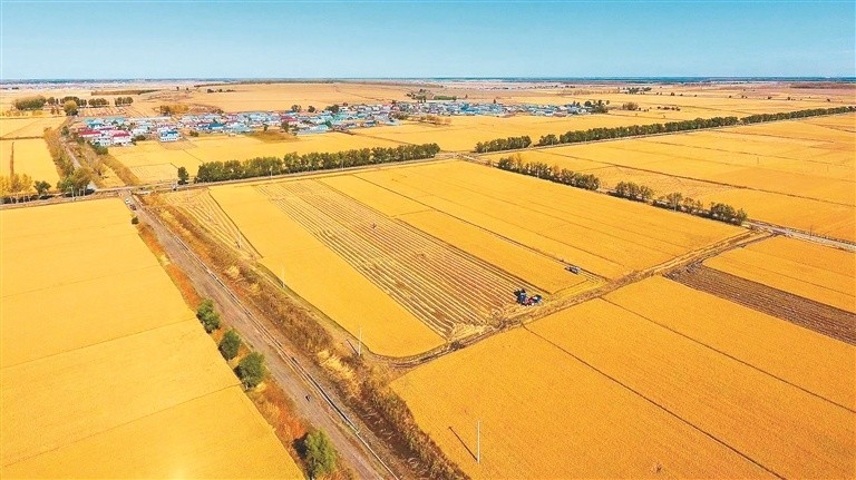 绥化兰西县打造乡村振兴新样板跑出产业发展新速度