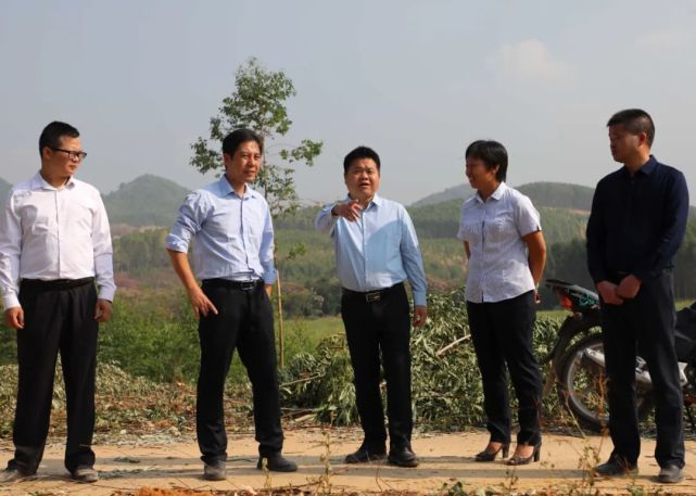 退桉还耕！切实解决耕地“非粮化”问题，保耕地质量和粮食生产安全_腾讯新闻