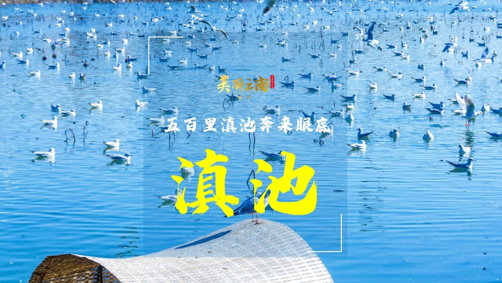 五百里滇池奔来眼底 云南九大高原湖泊 滇池 美丽云南 第三季 腾讯新闻